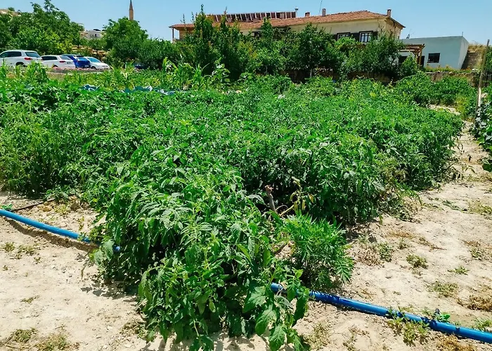 Otel Garden Cappadocia Göreme